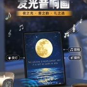 柏林之声星空灯光画蓝牙音响生日礼物女生创意实用高级送朋友送礼
